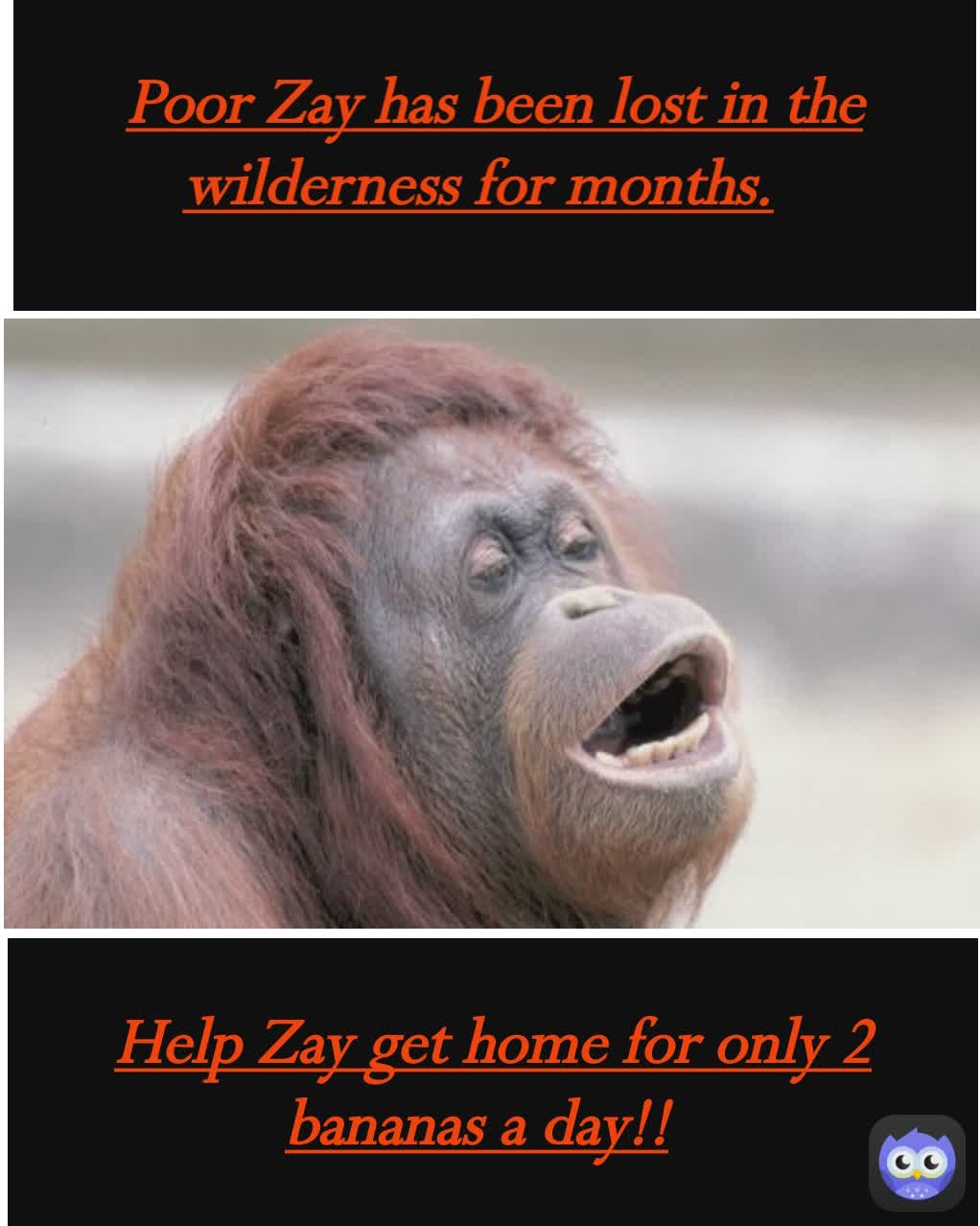 Help Zay get home for only 2 bananas a day!! Poor Zay has been lost in the wilderness for months.