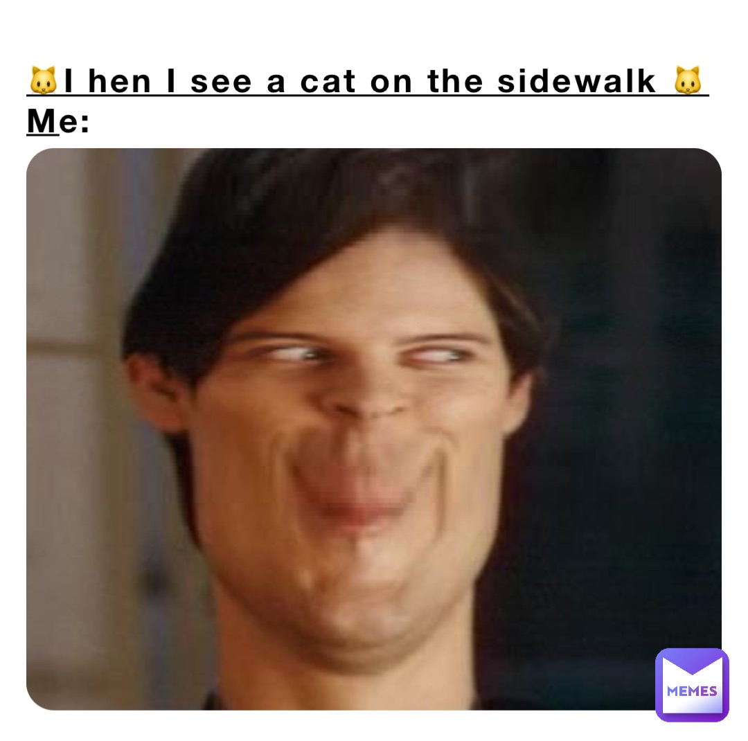 🐱I hen I see a cat on the sidewalk 🐱
Me:
