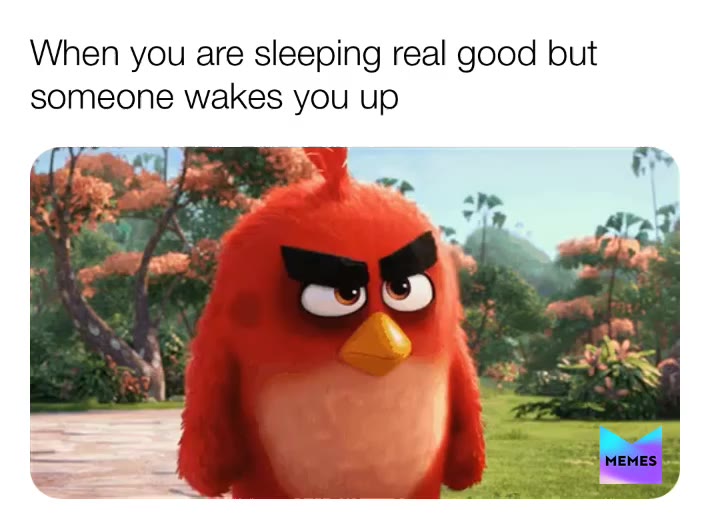 Meme shared by @oscar