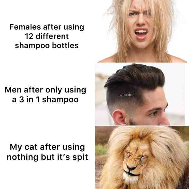Meme shared by @Asjark