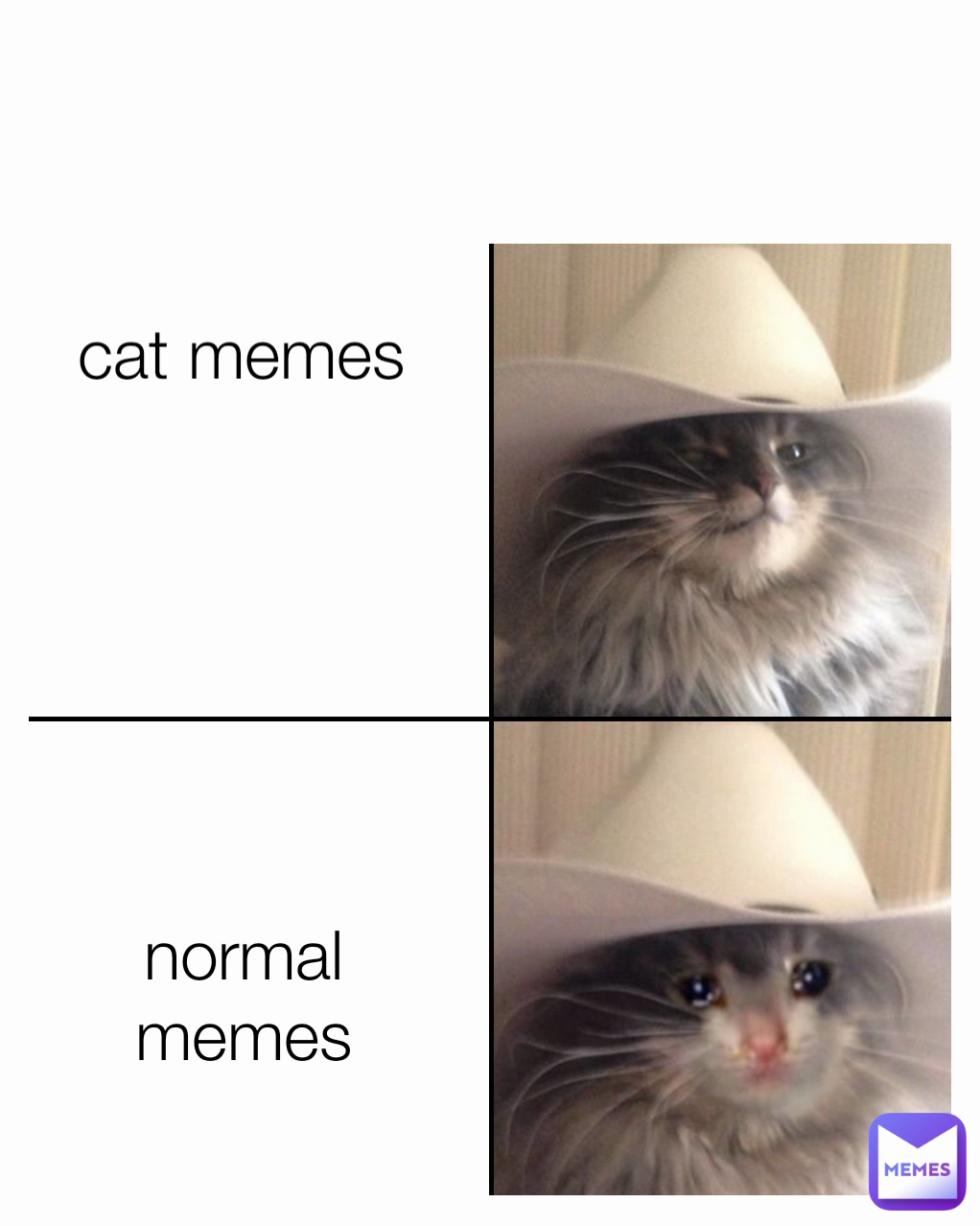 cat memes normal memes