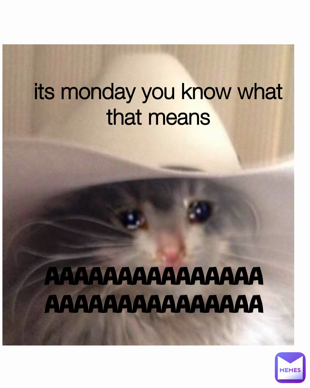 its monday you know what that means AAAAAAAAAAAAAAAAAAAAAAAAAAAAAA