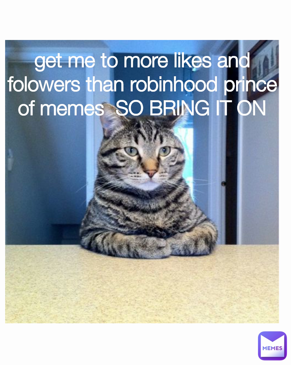 get me to more likes and folowers than robinhood prince of memes  SO BRING IT ON