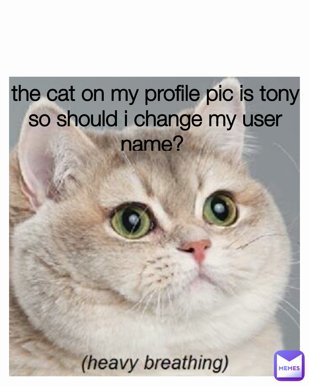 the cat on my profile pic is tony so should i change my user name? 
