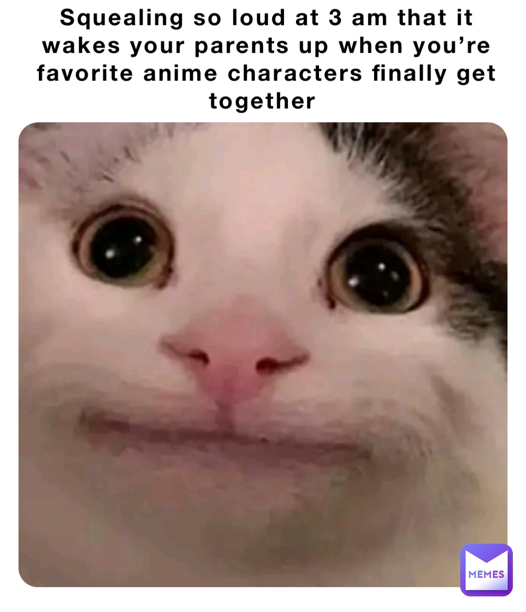 Squealing so loud at 3 am that it wakes your parents up when you’re favorite anime characters finally get together