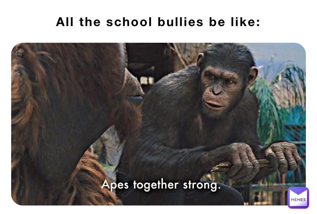 All the school bullies be like: