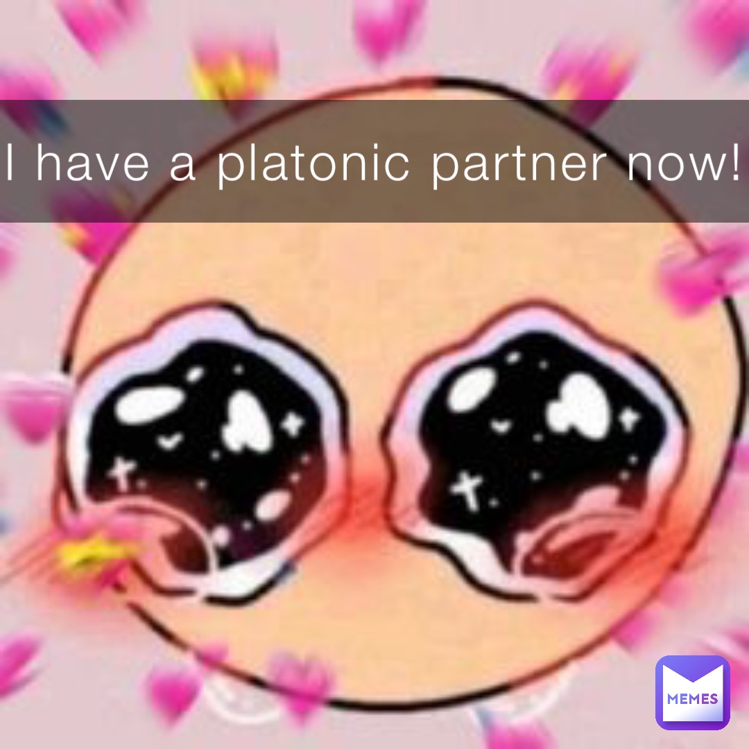 I have a platonic partner now!