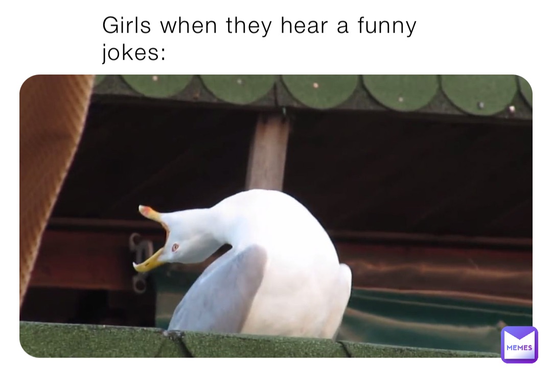 Girls when they hear a funny jokes: