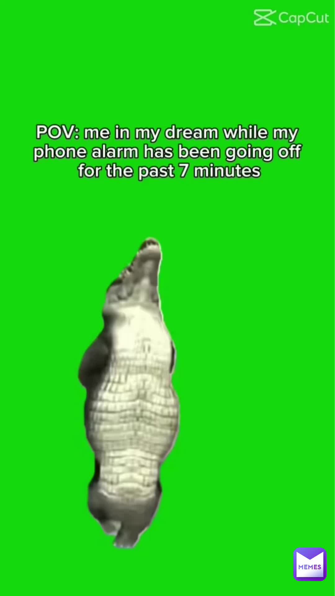 Meme shared by @glitch_gurl