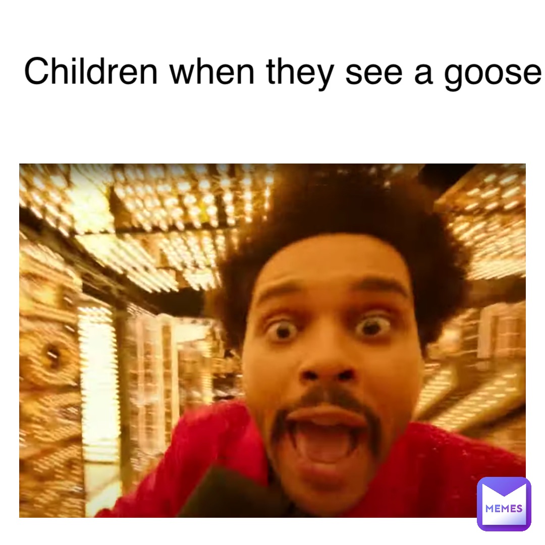 Children when they see a goose
