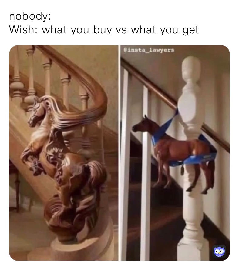 nobody:
Wish: what you buy vs what you get