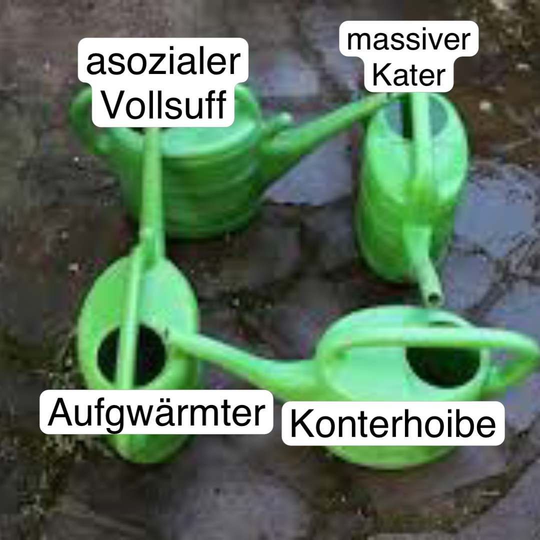 asozialer
Vollsuff massiver
Kater Aufgwärmter Konterhoibe
