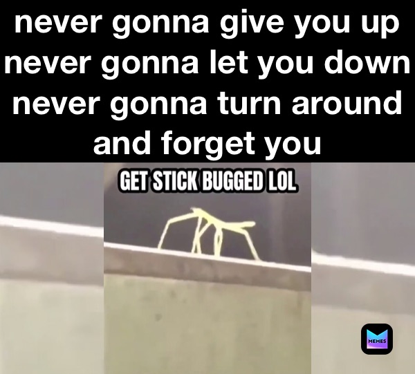 Meme by memerman69_nice