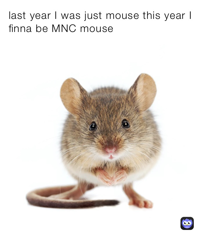 last year I was just mouse this year I finna be MNC mouse 