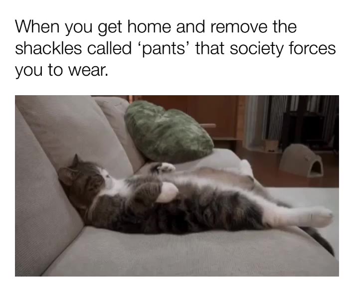 Meme shared by @Orphaned_Black