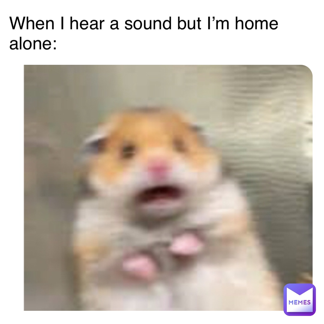 When I hear a sound but I’m home alone: