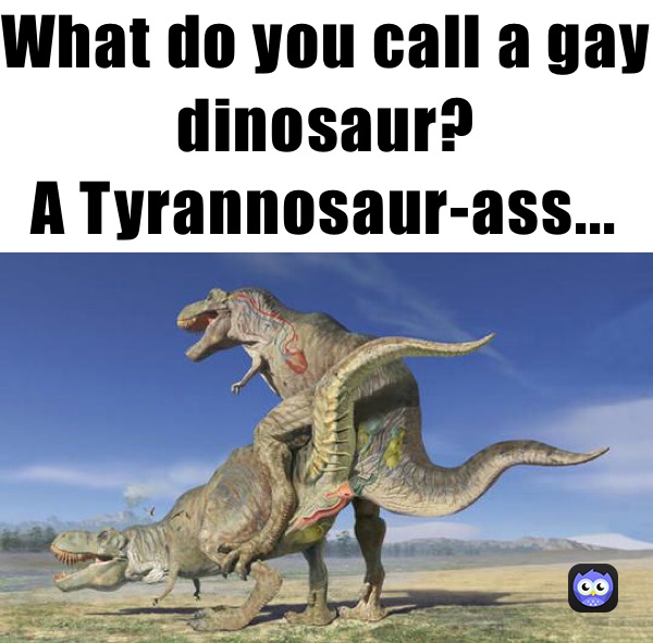 What do you call a gay dinosaur?
A Tyrannosaur-ass...￼￼