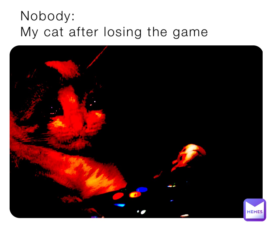 Nobody:                                       My cat after losing the game