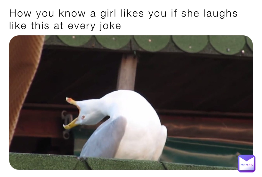 How you know a girl likes you if she laughs like this at every joke