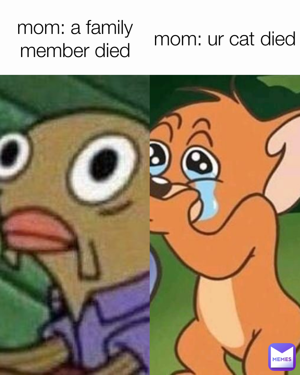 mom: ur cat died mom: a family member died