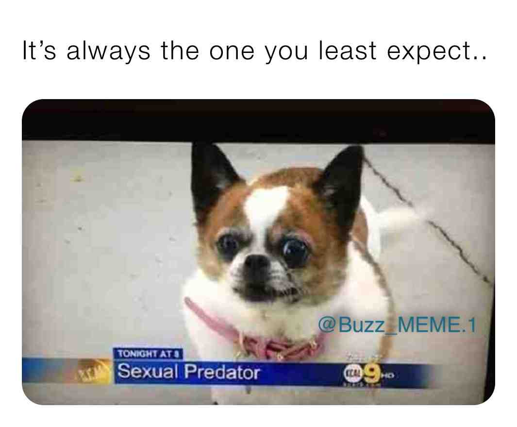 #meme #memes #funny #dankmemes #memesdaily #funnymemes #lol #follow #humor #like #dank #love #instagram #memepage #dankmeme #tiktok #comedy #lmao #fun #anime #ol #dailymemes #edgymemes #offensivememes #memestagram #bhfyp #instagood #funnymeme #memer #bhfyp
