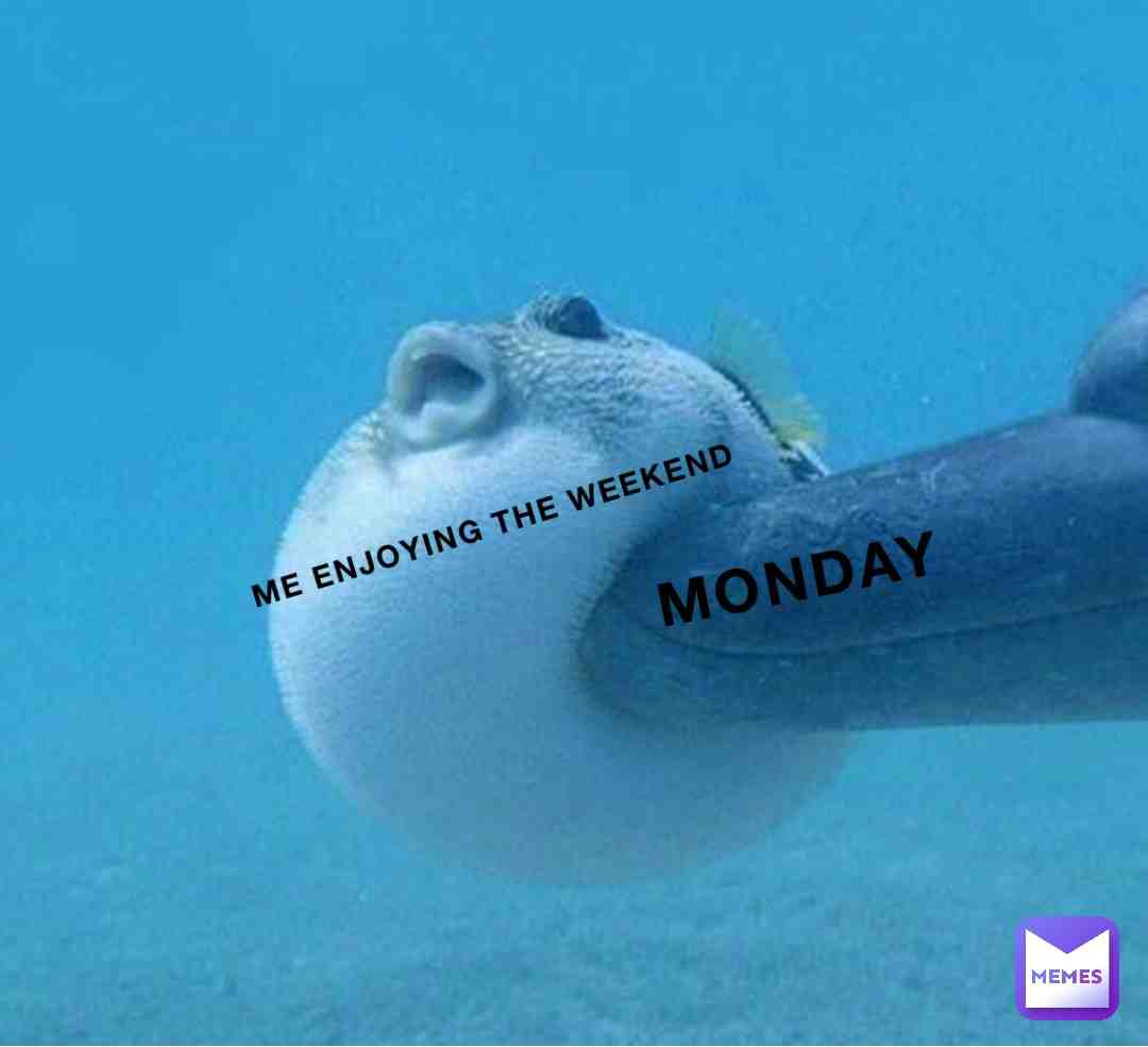 Monday’s 😫 #memesfunny #bestmemes #memestagram #funnymemesdaily #funnyvideos #memesinstagram #memes😂 #funnymemes #memesdaily #meme #meme #memes #bestmemes #instamemes #funny #funnymemes #dankmemes #offensivememes #edgymemes #spicymemes #nichememes #memepage #funniestmemes #dank #memesdaily #jokes #memesrlife #memestar #memesquad #humor #lmao #igmemes #lol #memeaccount #memer #relatablememes #funnyposts #sillymemes #nichememe #memetime