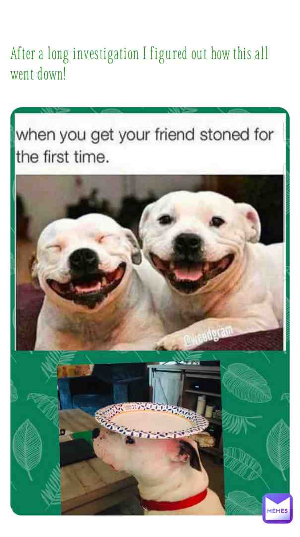 Meme shared by @Mamabear25