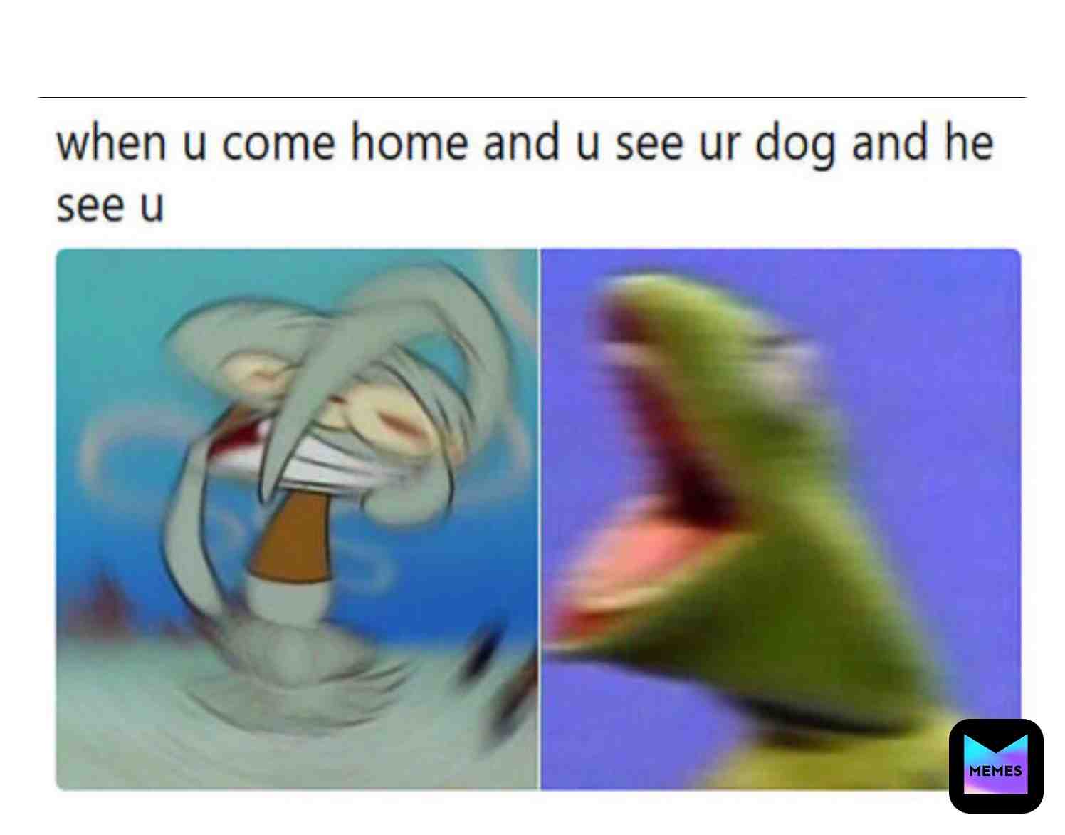 Meme shared by @jiaze