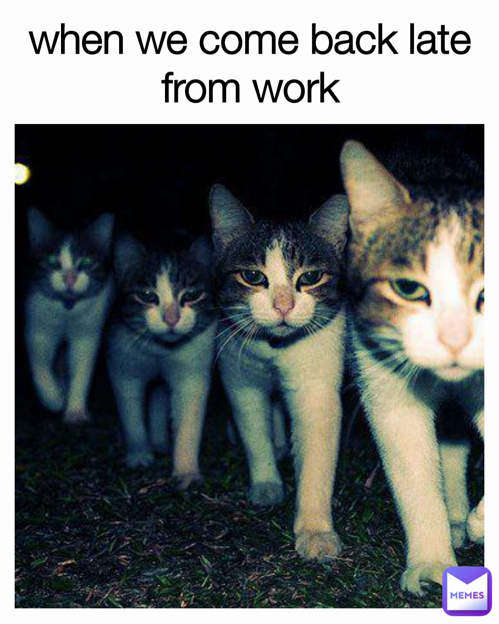 when we come back late from work