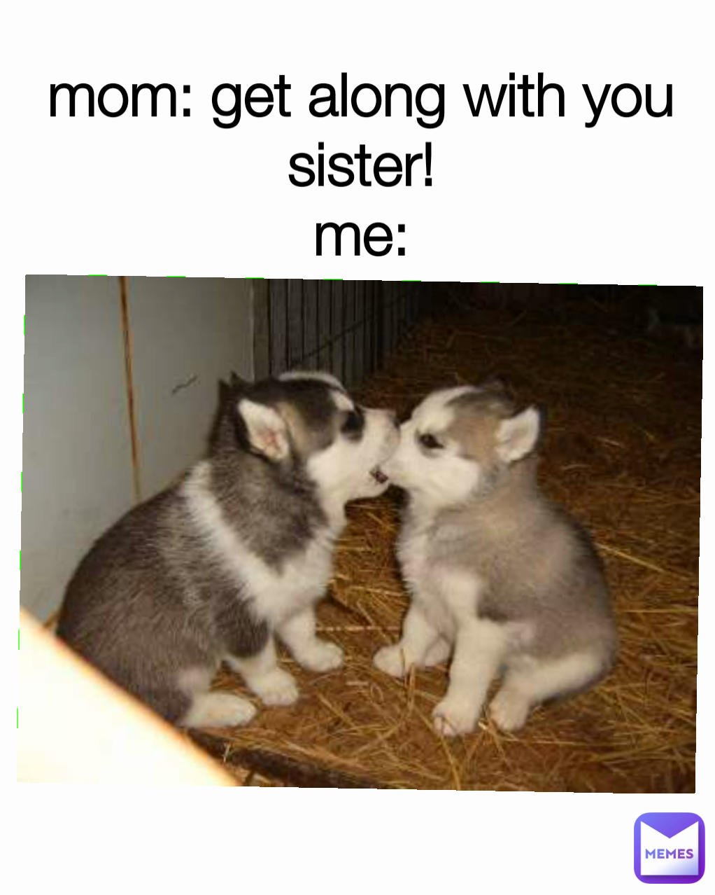 mom: get along with you sister!
me: