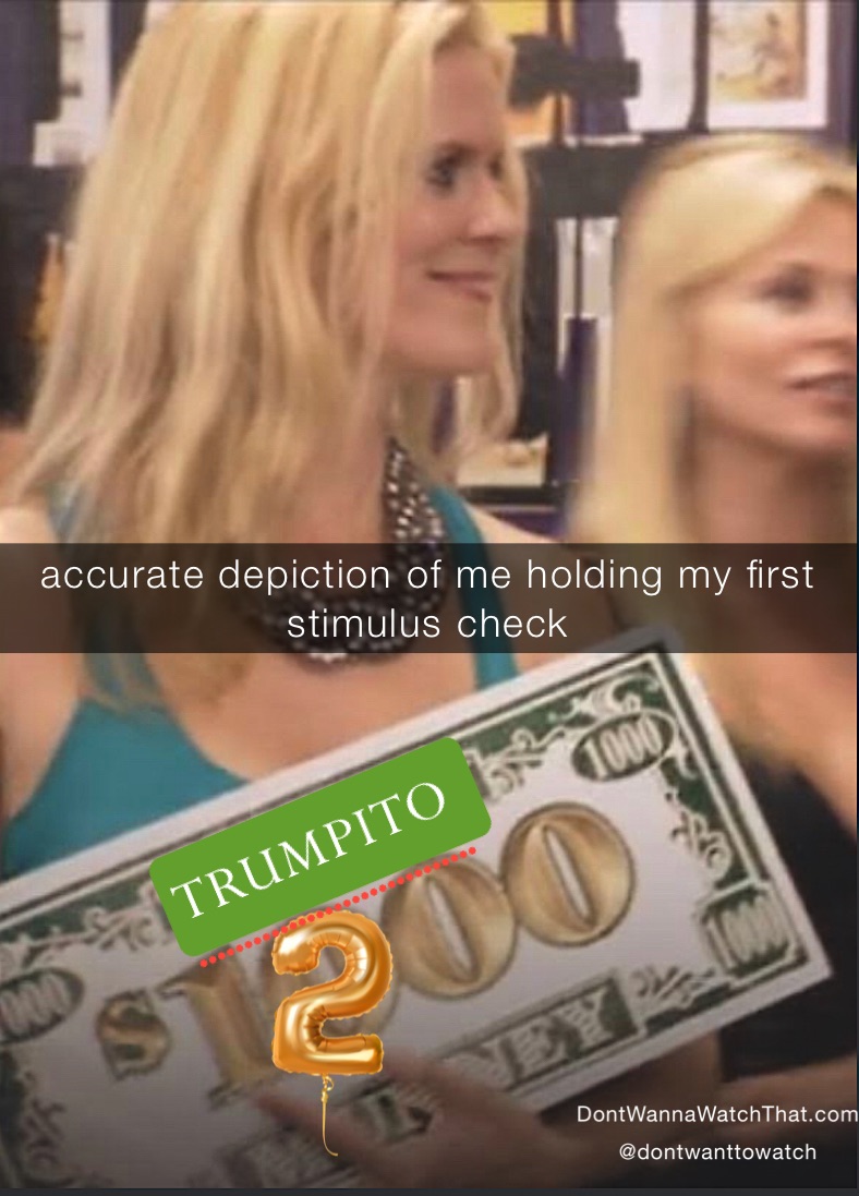 accurate depiction of me holding my first stimulus check