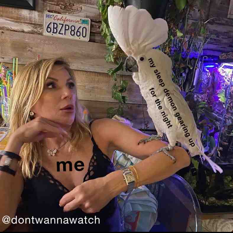 Meme preview