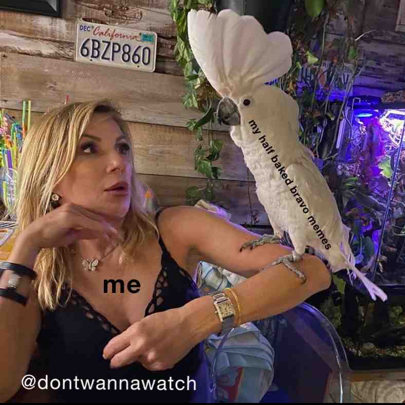 Meme preview