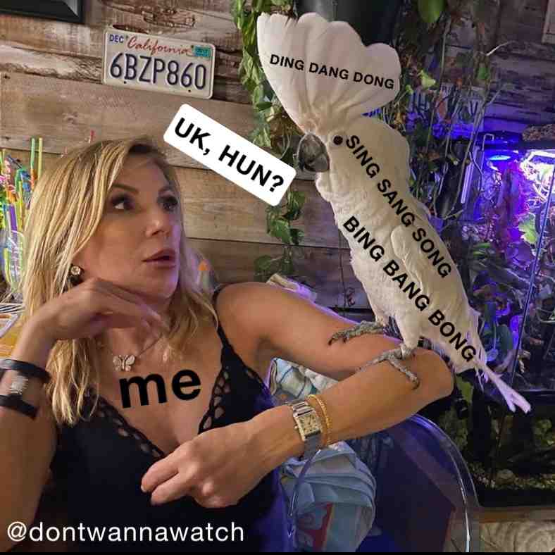 Meme preview