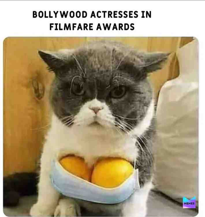#filmfare #bollywood #filmfareawards #aliabhatt #deepikapadukone #actress #varundhawan #salmankhan #actor #shahrukhkhan #f #love #fashion #india #l #likeforlikes #bollywoodactor #bollywoodactress #aliabhattfans #hollywood #akshaykumar #varunalia #bollywoodactresses #ranveersingh #anushkasharma #awards #katrinakaif #mumbai #followforfollowback #bhfyp