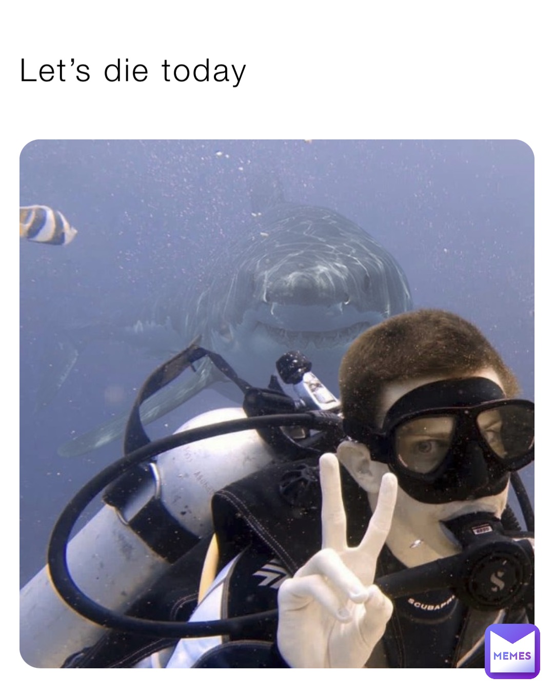 Let’s die today