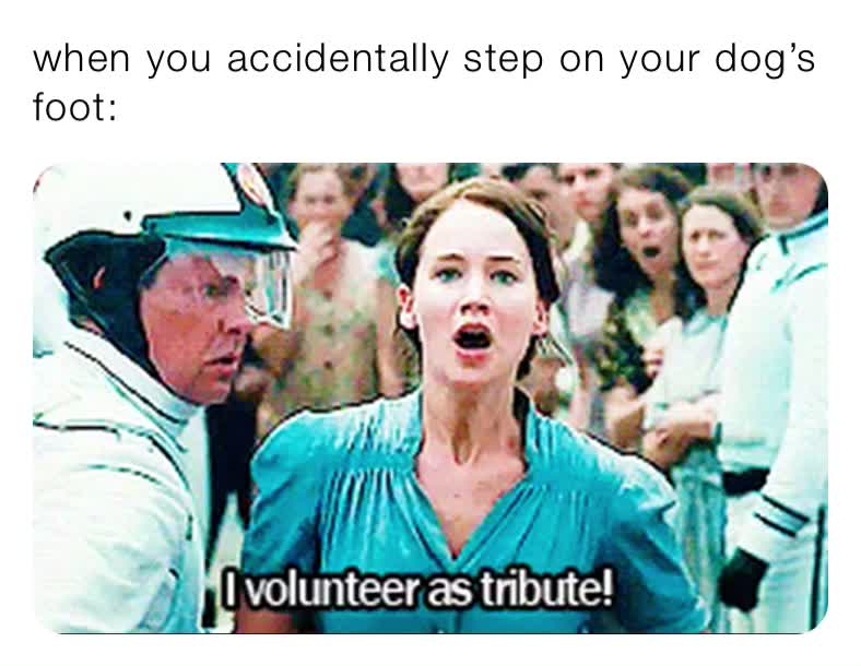 when you accidentally step on your dog’s foot your_local_mom Memes