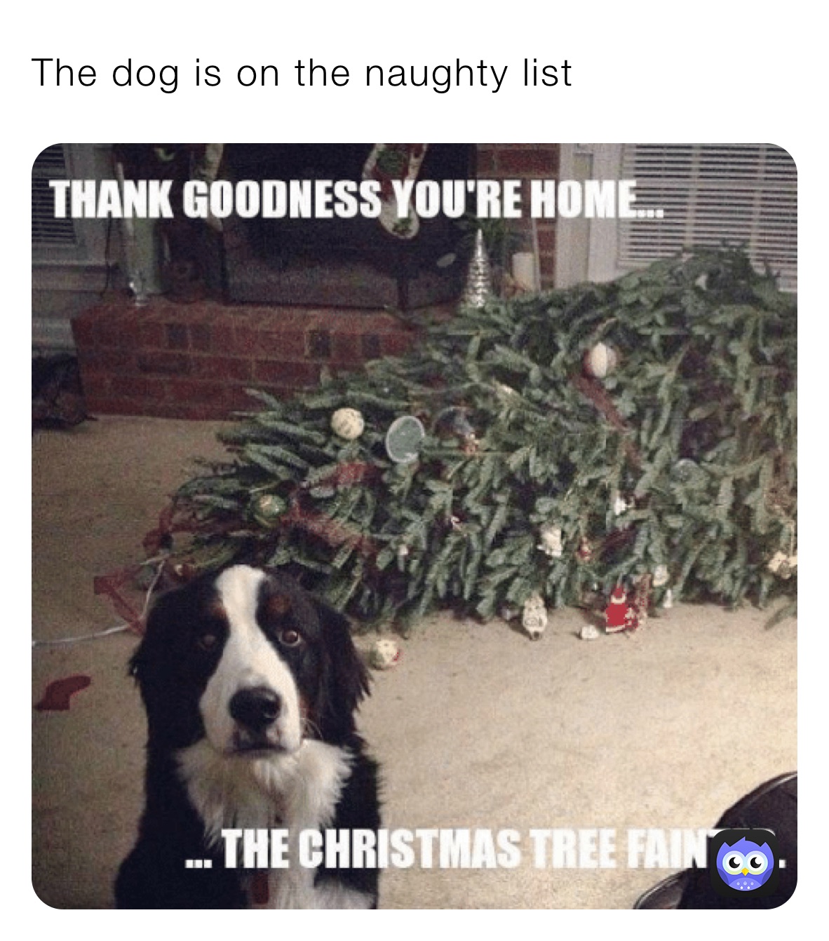 Meme by MollyTheYellow