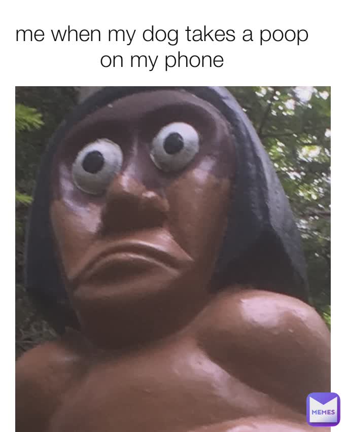me when my dog takes a poop on my phone