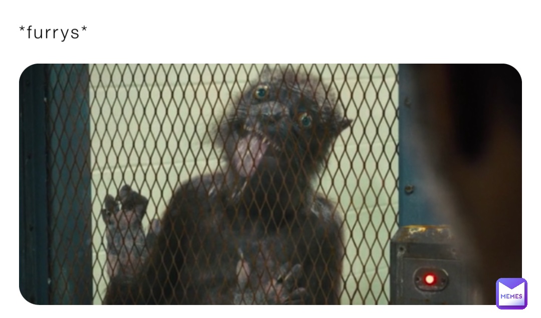 *furrys*