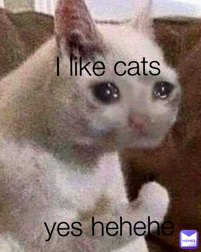 yes meme cat