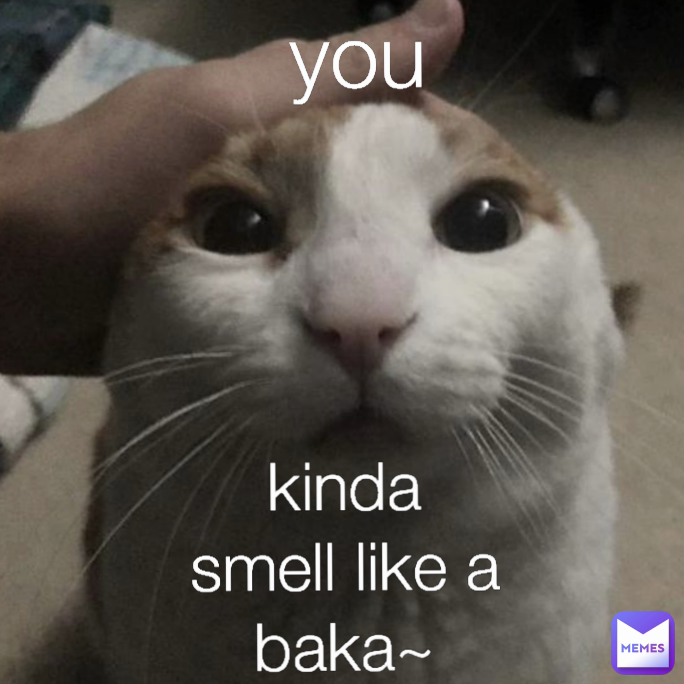 you  kinda smell like a baka~