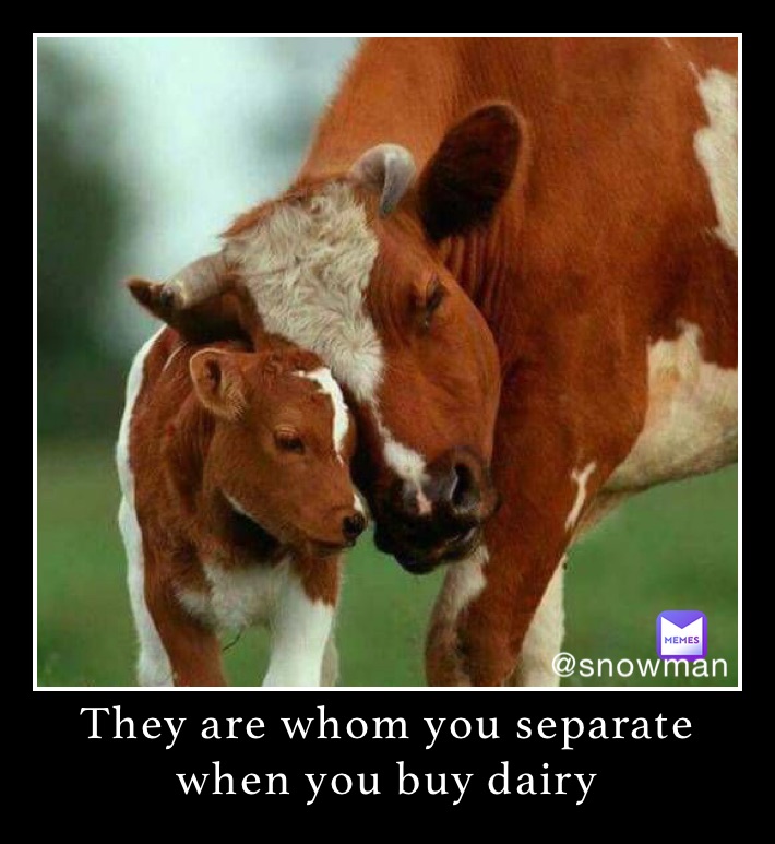 They are whom you separate when you buy dairy 