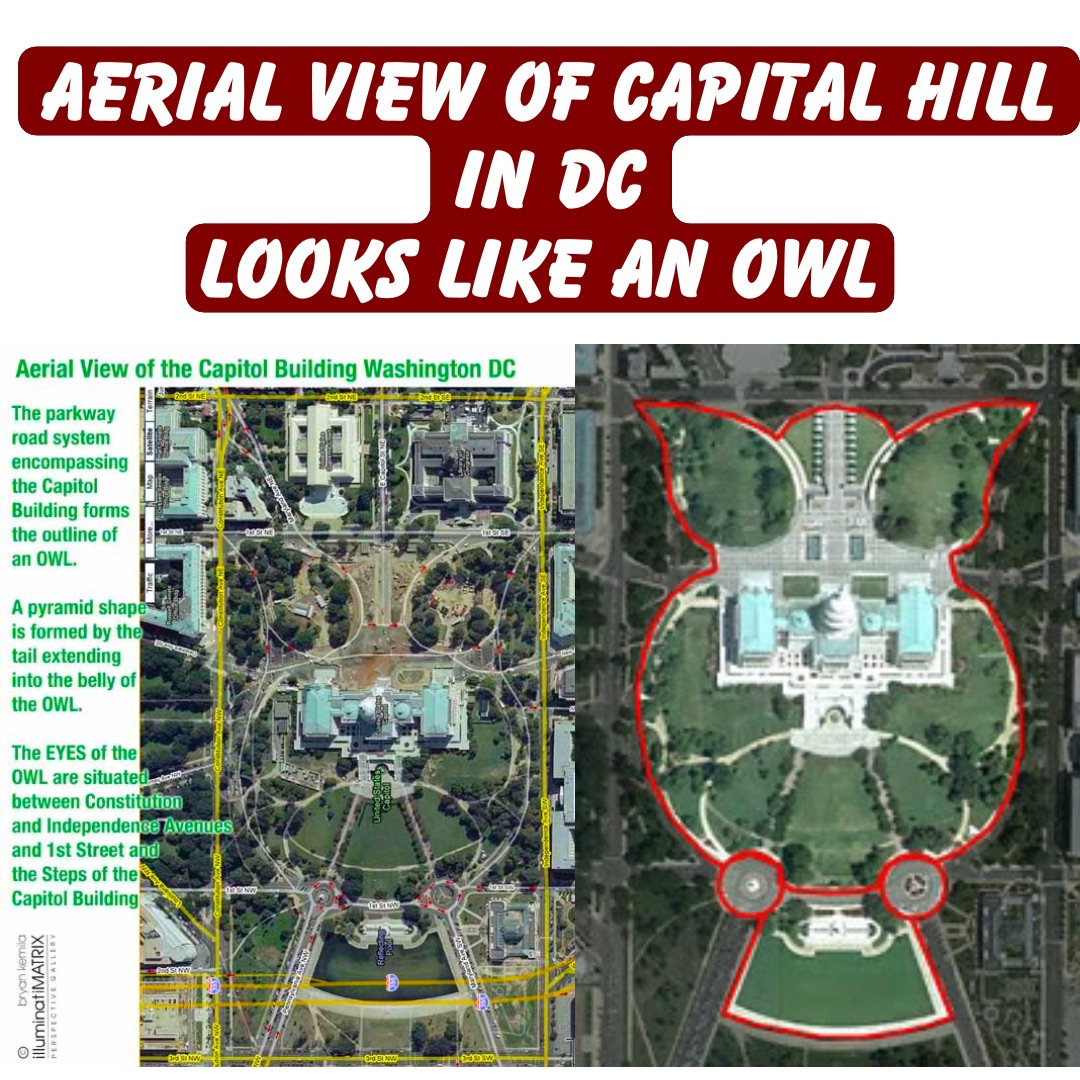 Aerial view of Capital Hill in DC 
Looks like an OWL