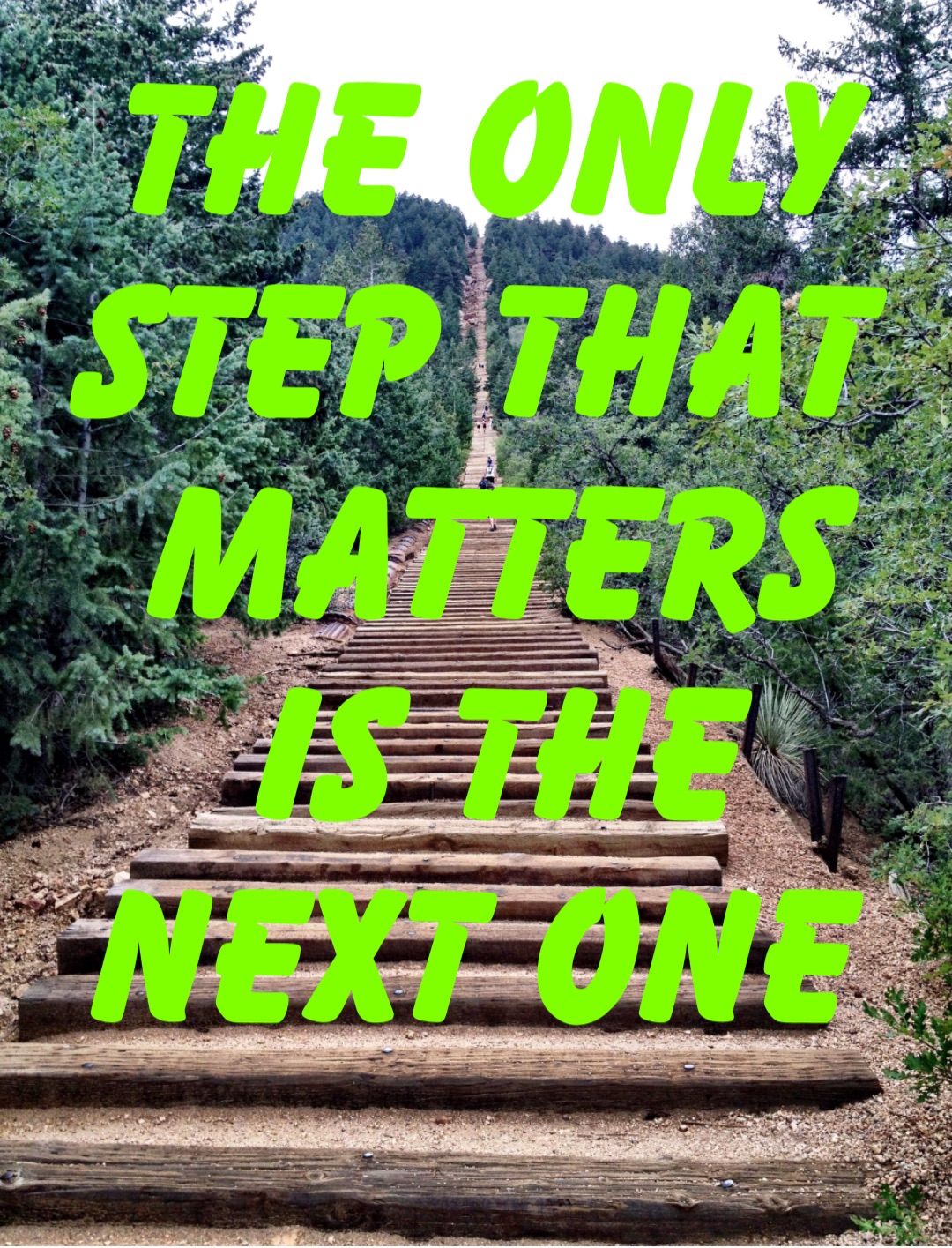 THE ONLY STEP THAT MATTERS IS THE NEXT ONE