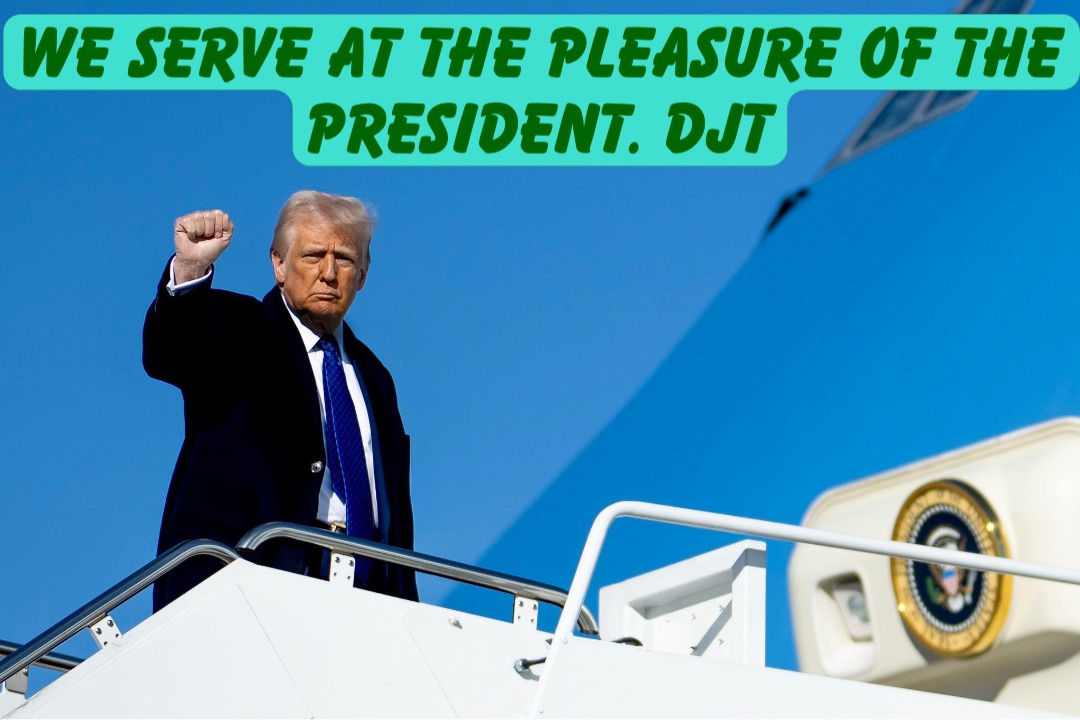 We serve at the pleasure of the President. DJT