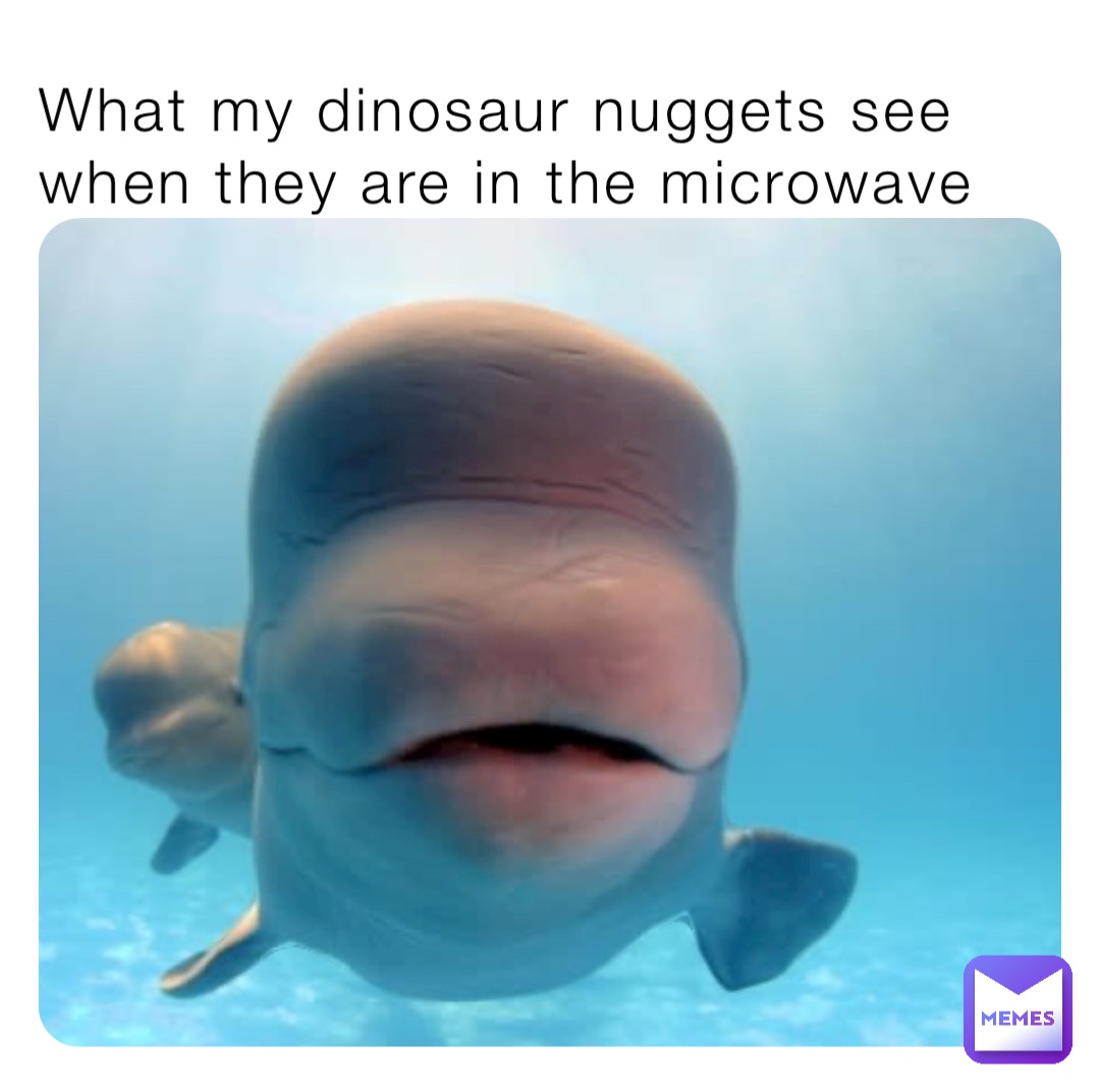 What my dinosaur nuggets see when they are in the microwave