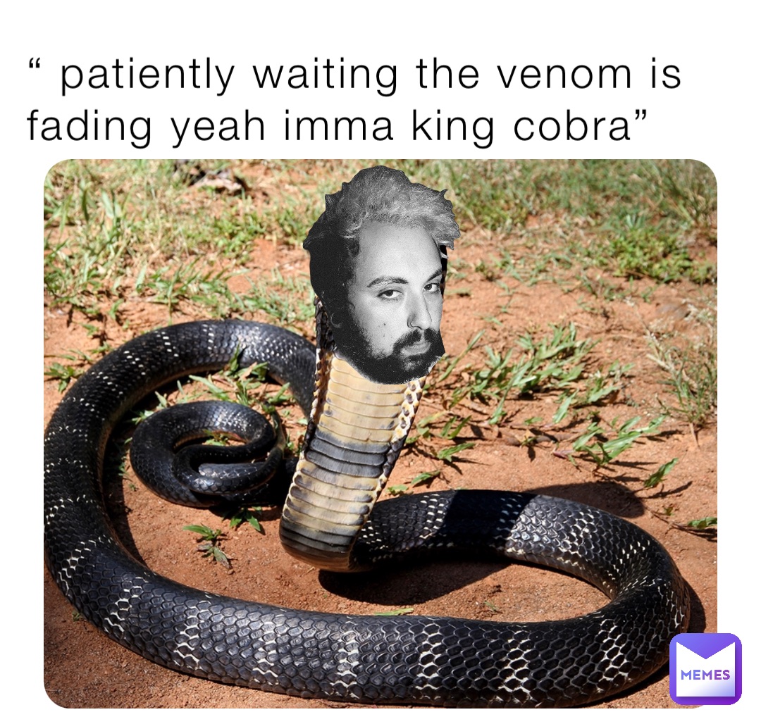 “ patiently waiting the venom is fading yeah imma king cobra”