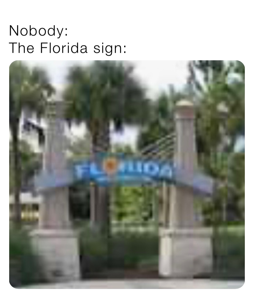 Nobody:
The Florida sign: