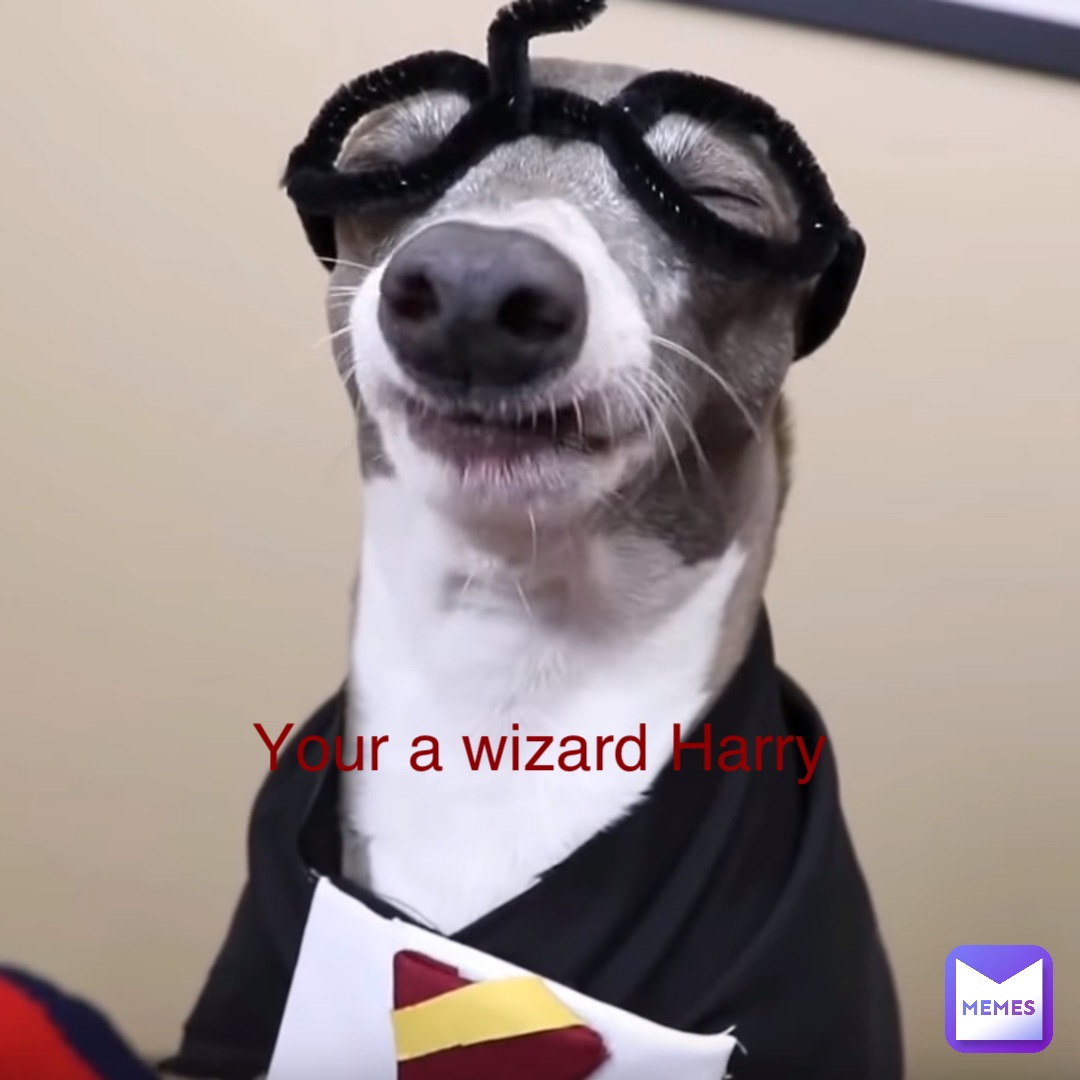 Your a wizard Harry